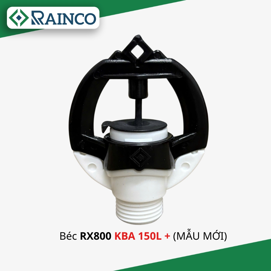 Bec-RX800-KBA-150L-maumoi
