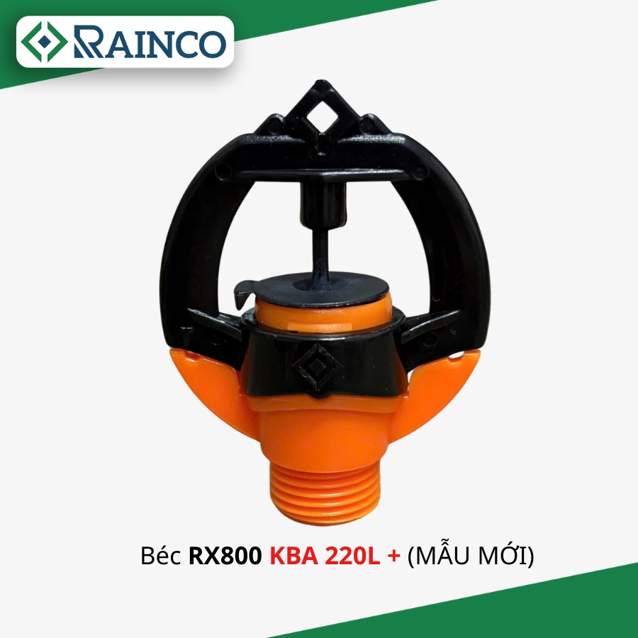 Bec-RX800-KBA-220L-maumoi
