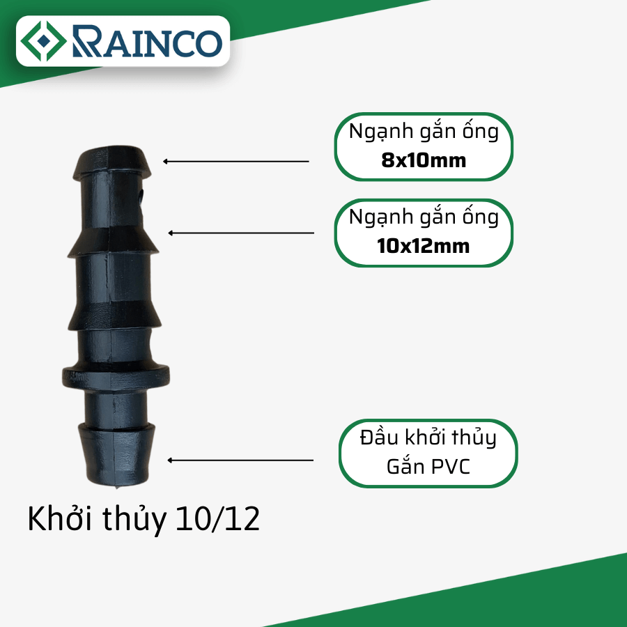 Khởi thủy 10-12